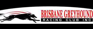 Top Brisbane Greyhounds On Home Stretch For GOTY