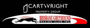 Property High Flyer Signs With Brisbane Greyhounds