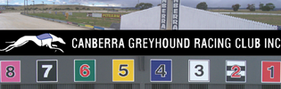 Bannerman Family Blitz Canberra Greyhound Meeting