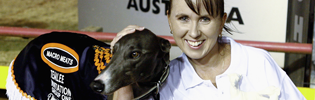 Little Change At The Top In The AGRA National Greyhound Rankings