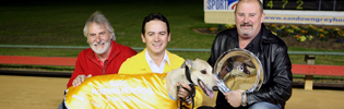 Fallen Zorro Is Sandown's 2008 Greyhound Of The Year