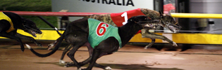 Fedex just noses out Austin Bale in the 2009 Silver Chief