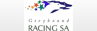 SA's Greyhound Prizemoney Hits A Record $4Million