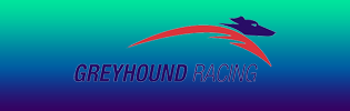Glenn Fish Is Victorian Greyhound Racing's Top Steward