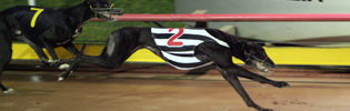 Lilley Criminal Winning A Heat Of The Victorian National Distance Championships Back In August 2008