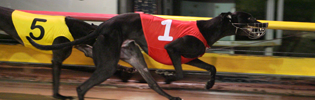 Nitro Burst Winning At The Meadows In August 2008