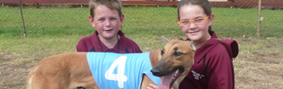 Pentland Primary School's Greyhound Angel Wins Her First Trial