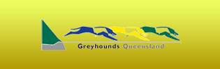 Watson Officially Apponted To Greyhounds Queensland Chair
