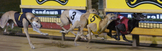 Action On The First Corner Of The 2008 Sandown Shootout