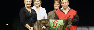 Amy Ralph handling Sonador after a Sandown win in December 2008