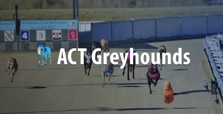 ACT greyhound racing