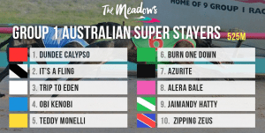 ARG Super Stayers