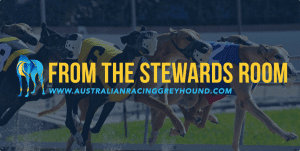 Stewards wrap