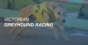 Victorian greyhound racing