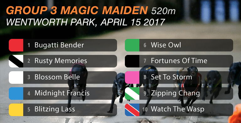 Magic Maiden
