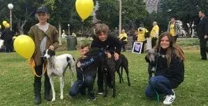 Greyhound racing