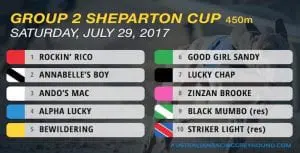 Sandy was a good girl in Group 2 Shepparton Cup heats