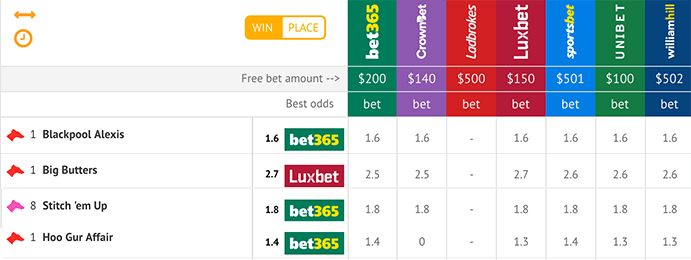 Greyhound tips results best bet odds