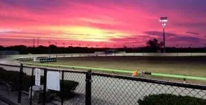 Vencedor wins again at The Gardens