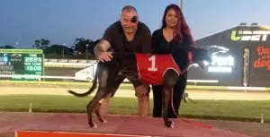 Greyhound racing gives new owner an escape from illness