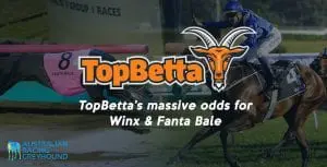 TopBetta offer huge odds for Winx & Fanta Bale to make history