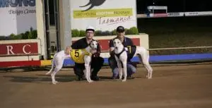 Wynburn Cutie to target middle distance campaign...but not yet