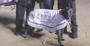 Equanimity wins 2017 Anniversary Cup