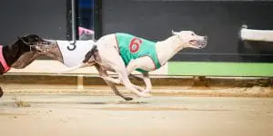 High Eden Frost to give his rivals a chill in Sprint Championship