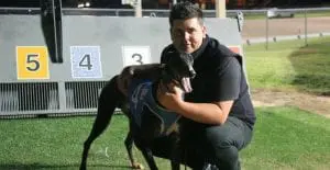 Rock Up Top brilliant in Group 2 Launceston Cup heat