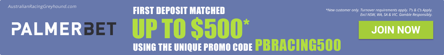 Get bonus bets with Palmerbet