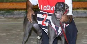 Blue Sky Riot registers second group win in Richmond Oaks
