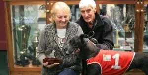 Just Browsing wins Launceston Breeders Classic final