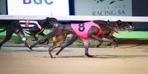 Rasmussen has the numbers to take out Easter Cup