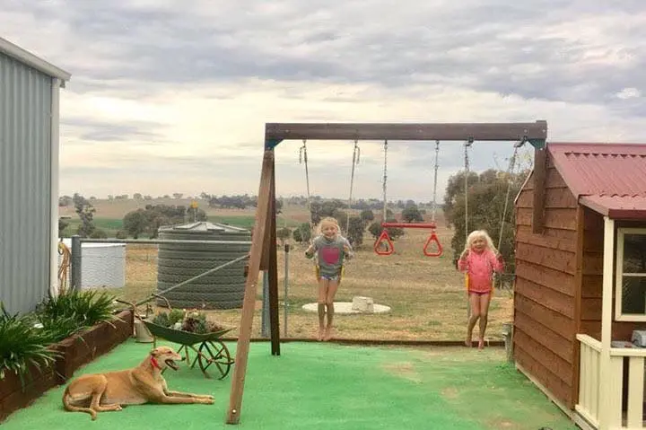 Miata adopted greyhound