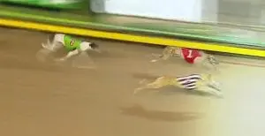Performance of the week: Fire And Smoke stuns at Sandown