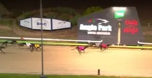 Fly For Trix wins Angle Park Leigh Rogers feature final