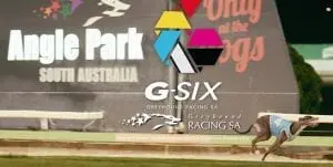 GRSA set to introduce six dog fields in May