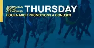Thursday greyhound promotions and bonus offers