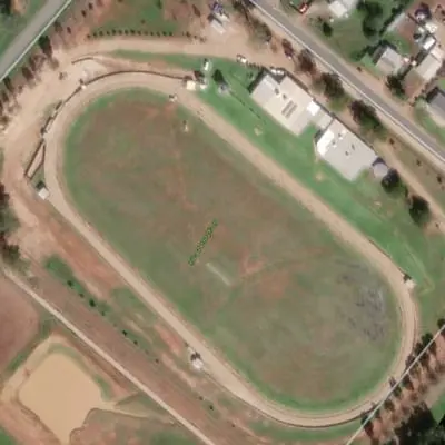 Temora