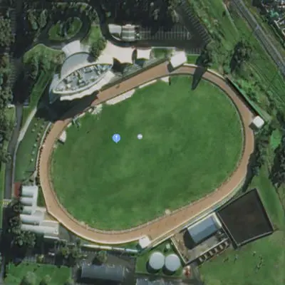 The Meadows