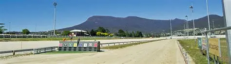 Hobart Greyhounds