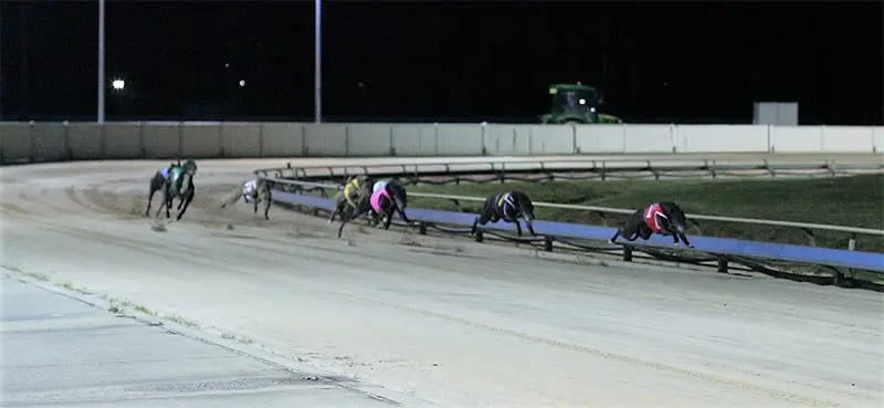 Launceston greyhound track