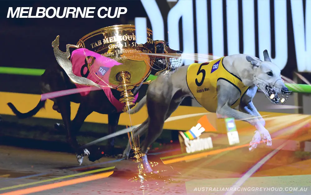 Melbourne Cup runner by runner guide 2021
