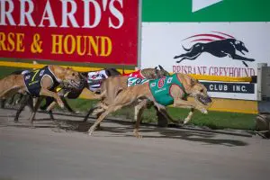 Albion Park, Brisbane