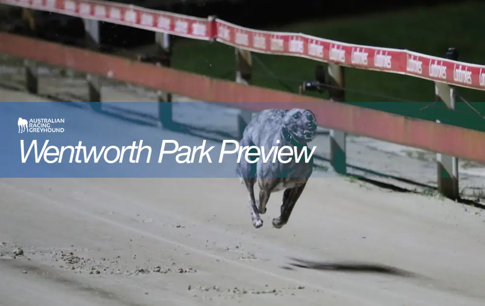 Wentworth Park tips and best bets for February 12, 2022