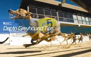 Dapto greyhounds betting tips