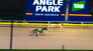 Fantastic Victor wins Angle Park's Eastar Match Race series