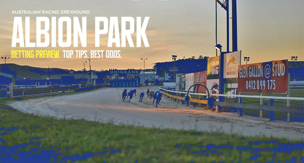 Albion Park Greyhound Tips For Monday April 1, 2024