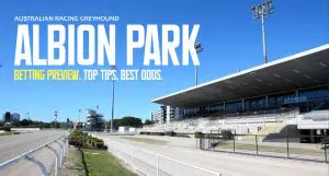 Albion Park Greyhound Preview