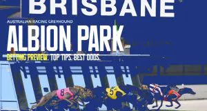 Albion Park greyhound tips Monday night April 29 2024
